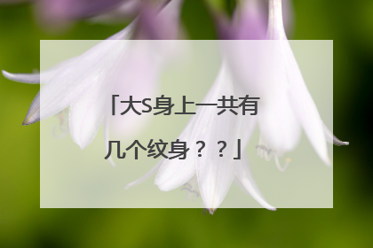 大S身上一共有几个纹身？？