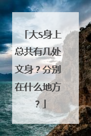 大S身上总共有几处文身？分别在什么地方？