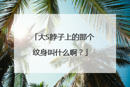 大S脖子上的那个纹身叫什么啊？