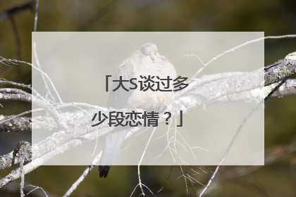 大S谈过多少段恋情？