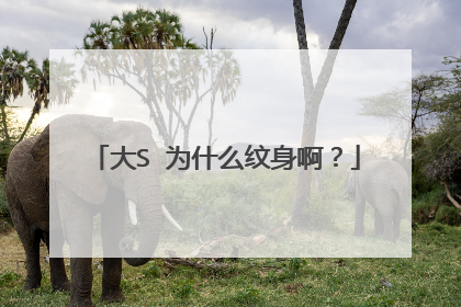 大S 为什么纹身啊？