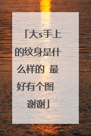 大s手上的纹身是什么样的 最好有个图 谢谢