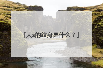 大s的纹身是什么？