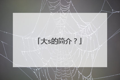 大s的简介？