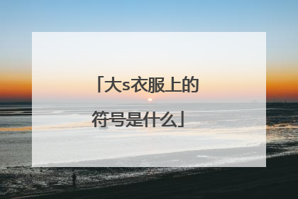 大s衣服上的符号是什么