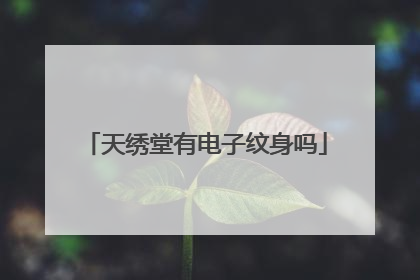 天绣堂有电子纹身吗