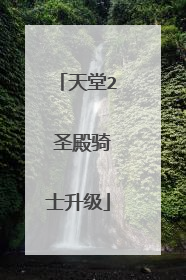 天堂2 圣殿骑士升级