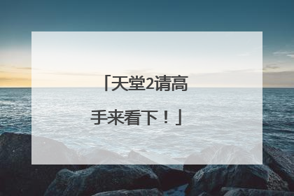 天堂2请高手来看下！