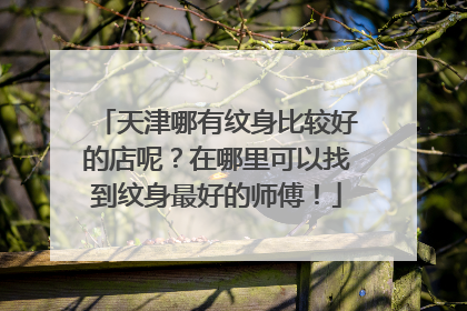 天津哪有纹身比较好的店呢？在哪里可以找到纹身最好的师傅！