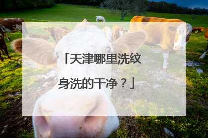 天津哪里洗纹身洗的干净？