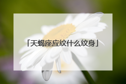 天蝎座应纹什么纹身