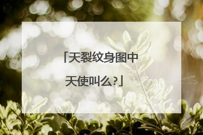 天裂纹身图中天使叫么?