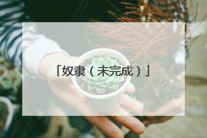 奴隶（未完成）