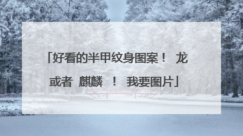 好看的半甲纹身图案！ 龙 或者 麒麟 ！ 我要图片