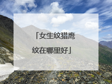 女生纹猎鹰纹在哪里好