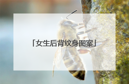 女生后背纹身图案