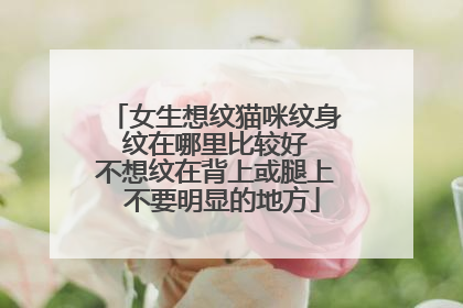 女生想纹猫咪纹身 纹在哪里比较好 不想纹在背上或腿上 不要明显的地方