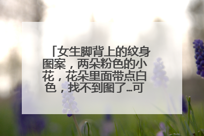 女生脚背上的纹身图案，两朵粉色的小花，花朵里面带点白色，找不到图了…可以帮我找找吗？