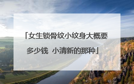 女生锁骨纹小纹身大概要多少钱 小清新的那种