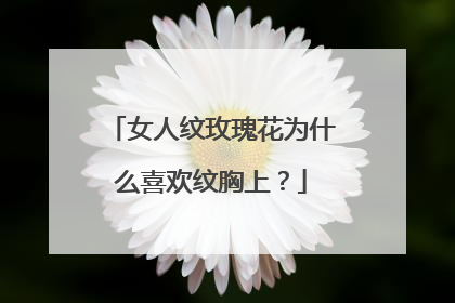 女人纹玫瑰花为什么喜欢纹胸上？