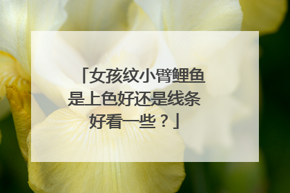 女孩纹小臂鲤鱼是上色好还是线条好看一些？