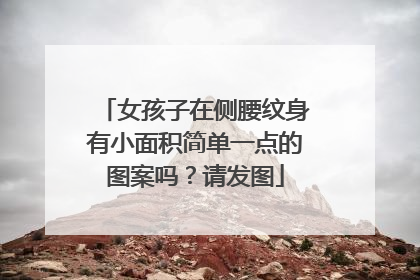 女孩子在侧腰纹身有小面积简单一点的图案吗？请发图
