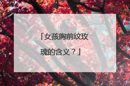 女孩胸前纹玫瑰的含义？