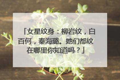 女星纹身：柳岩纹，白百何，秦海璐。她们都纹在哪里你知道吗？