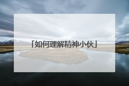 如何理解精神小伙