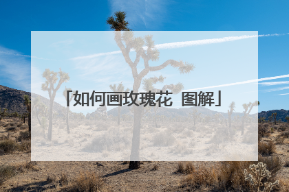 如何画玫瑰花 图解