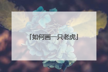 如何画一只老虎