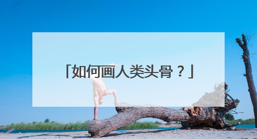 如何画人类头骨？