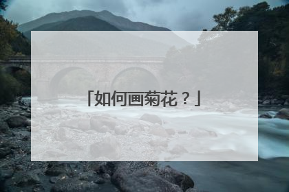如何画菊花？