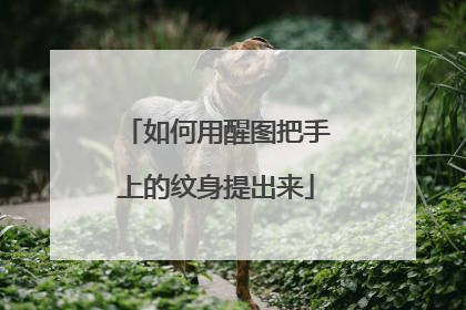 如何用醒图把手上的纹身提出来