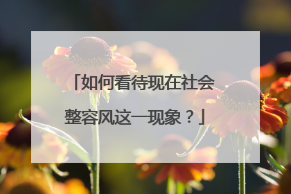 如何看待现在社会整容风这一现象?