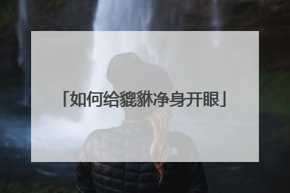 如何给貔貅净身开眼