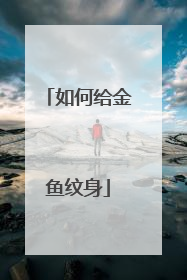 如何给金鱼纹身