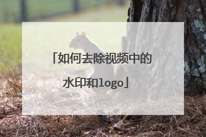 如何去除视频中的水印和logo