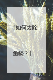 如何去除鱼鳞？