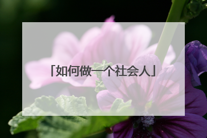 如何做一个社会人