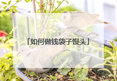 如何做钱袋子馒头