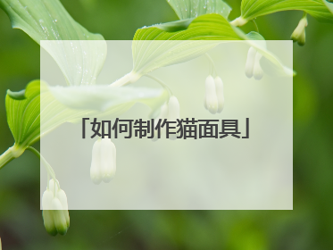 如何制作猫面具