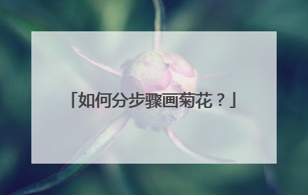 如何分步骤画菊花？