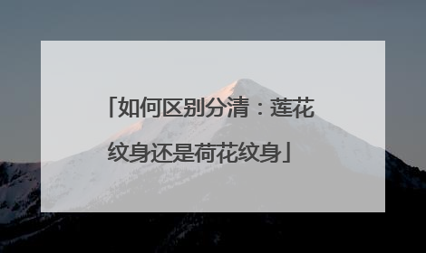 如何区别分清：莲花纹身还是荷花纹身