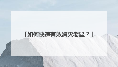 如何快速有效消灭老鼠？