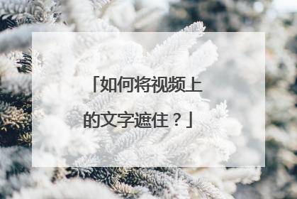 如何将视频上的文字遮住？