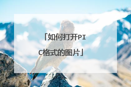 如何打开PIC格式的图片