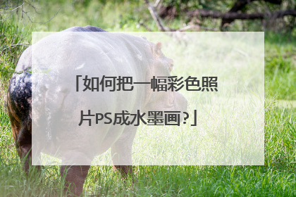 如何把一幅彩色照片PS成水墨画?