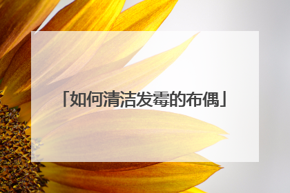 如何清洁发霉的布偶