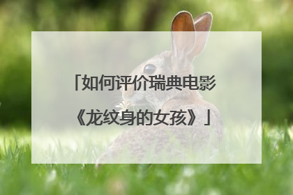 如何评价瑞典电影《龙纹身的女孩》